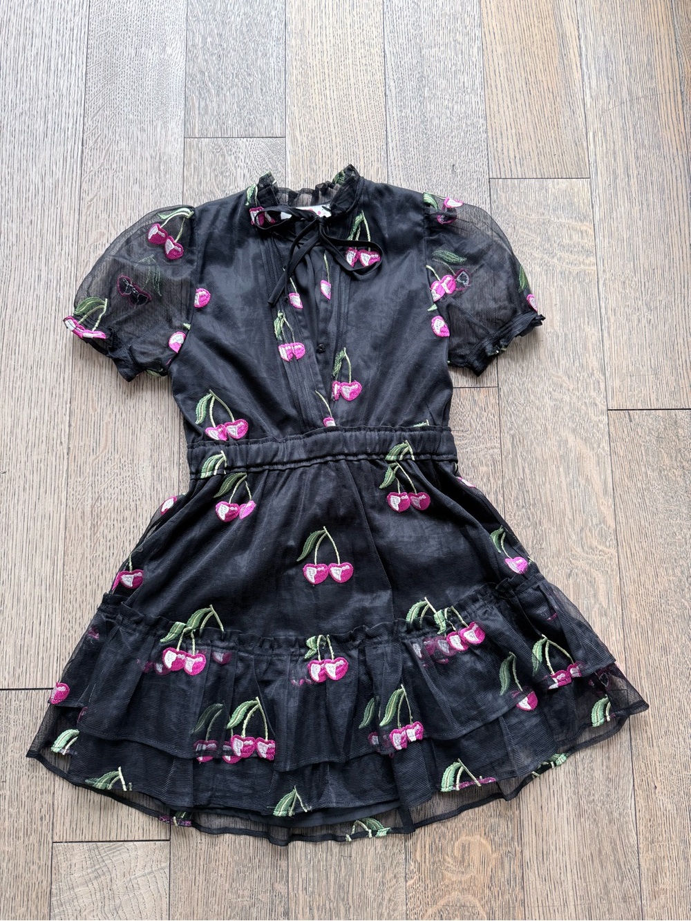 Buddy Love Black Mesh Dress with Pink Cherry Embroidery